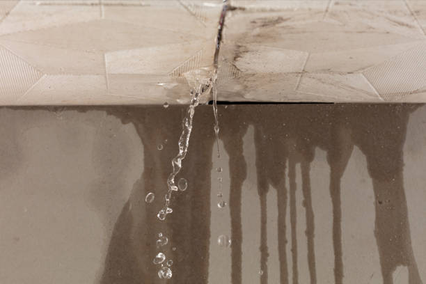 Professional Structural Drying technician working in Bar Harbor, ME